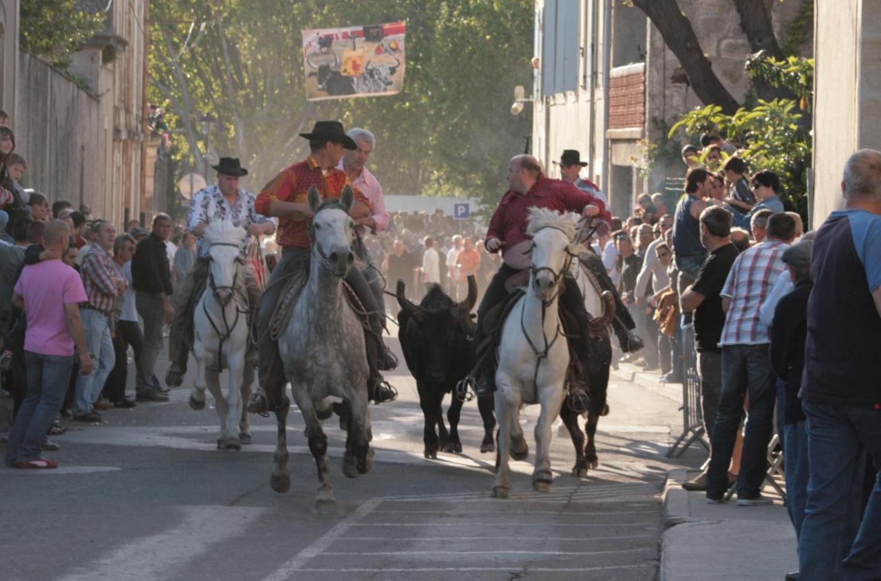 Gite De Vacances En Camargue ☆☆Nn فاوفيرت المظهر الخارجي الصورة