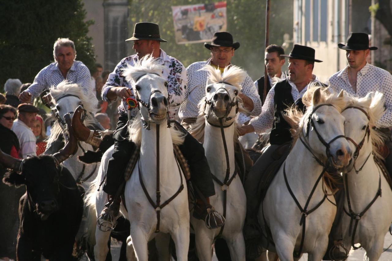 Gite De Vacances En Camargue ☆☆Nn فاوفيرت المظهر الخارجي الصورة